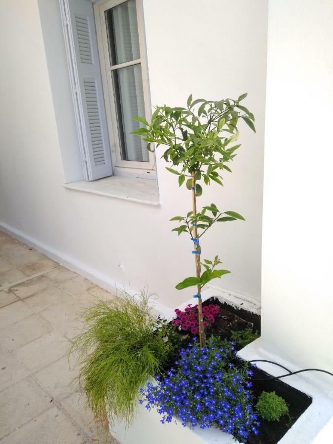 חאניה Zacharoula'S Home מראה חיצוני תמונה