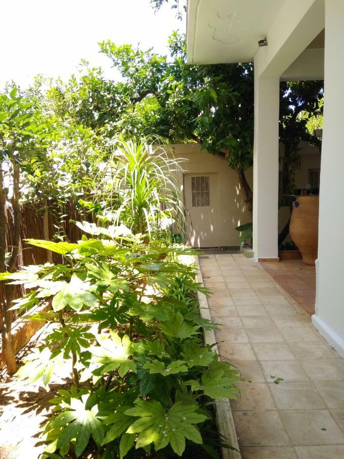 חאניה Zacharoula'S Home מראה חיצוני תמונה
